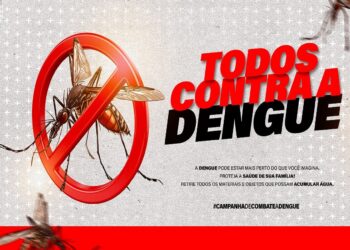 Dengue, combate.