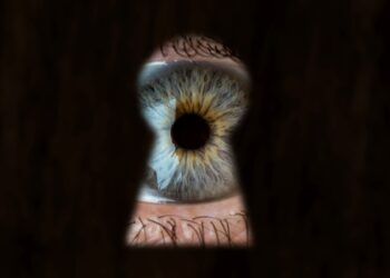 É seguro usar app para ver quem visitou perfil do Instagram?