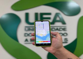 Descubra o App brasileiro que monitora queimadas e qualidade do ar em tempo real